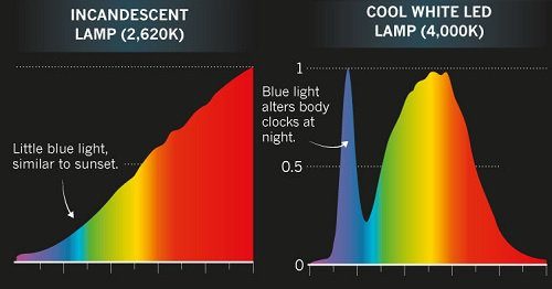 Bombilla incandescente vs. LED