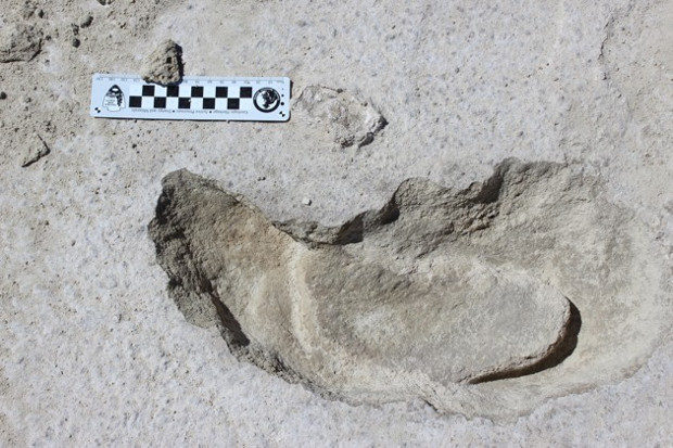 Huella de un perezoso gigante y dentro la huella de un hombre