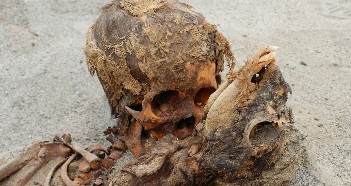 Las víctimas de un evento desesperado, un niño (izquierda) y una cría de llama (derecha), fueron parte de la matanza en forma de sacrificio de más de 140 niños y más de 200 llamas en la costa norte del Perú alrededor de 1450 d. C.
