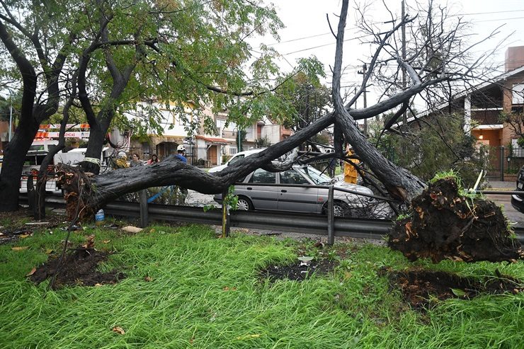 La tormenta presentó fuertes ráfagas de viento que provocaron caídas de árboles y voladuras de techos