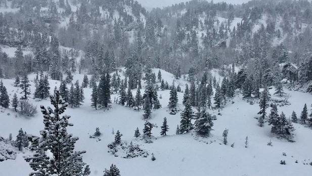Nieve cubriendo Larra este domingo en un imagen publicada por Gorka Gorospe en Twitter.