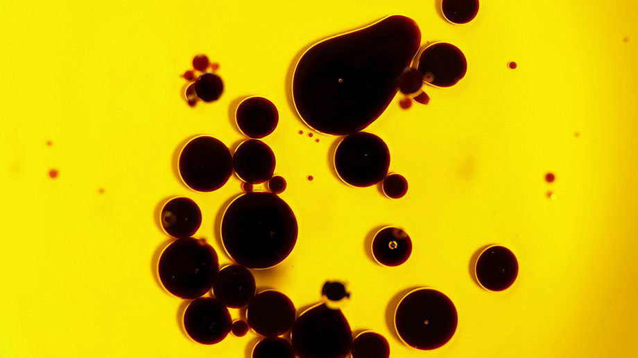 Cell Division