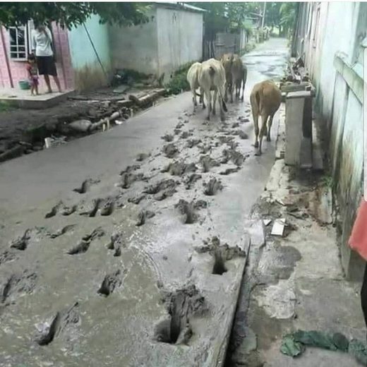 Civil engineering