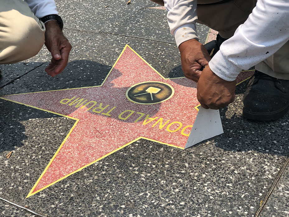 trump star sticker laminate
