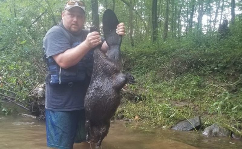 father daughter rabid beaver attack