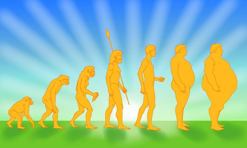 evolution to obesity