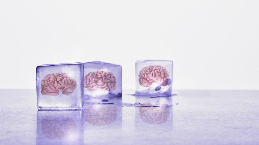 Brain,cerebro