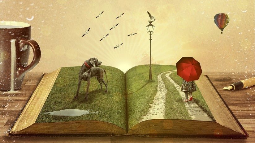 book imagination
