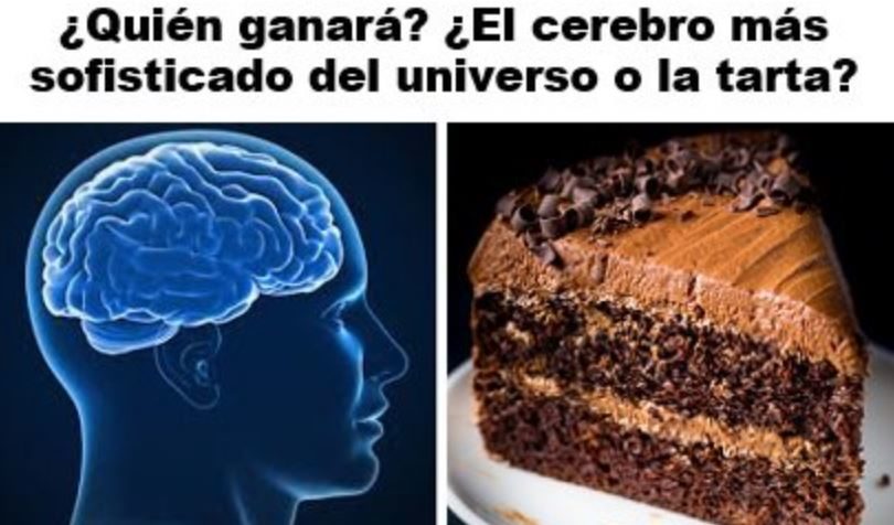 cerebro chocolate
