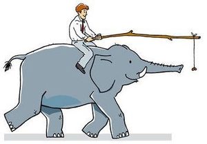 Te será más fácil dominar al elefante si le ofreces pequeñas recompensas durante el camino