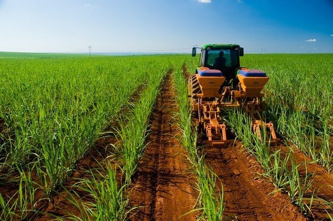tractor