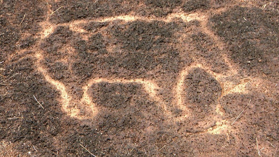 Maharashtra petroglifos