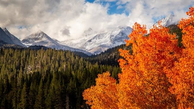 Fall foliage in the foreground, snow-capped peaks in the back... This is happening, as of the first weekend of October 2018, in the Eastern Sierra.
