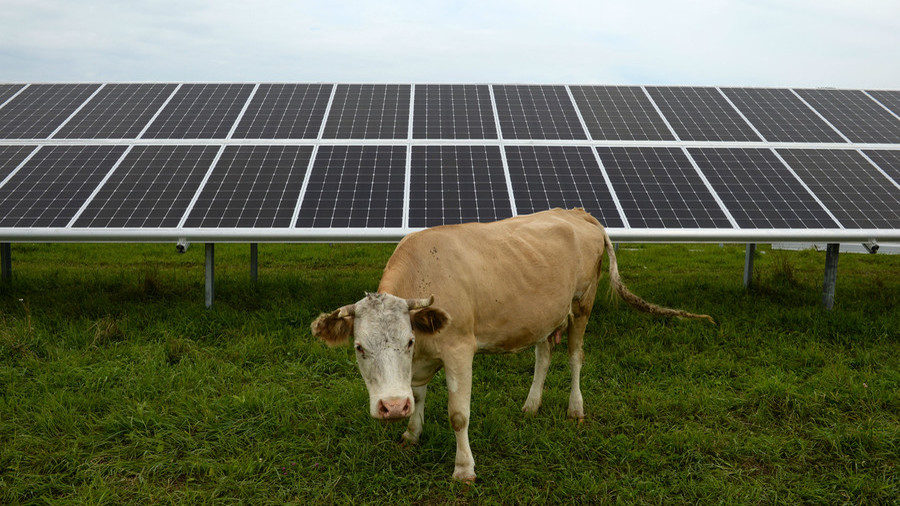 Rusia,paneles solares