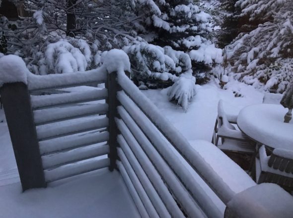 Snow piling up in backyards in Longmont, Colo. on Sun, Oct 14.