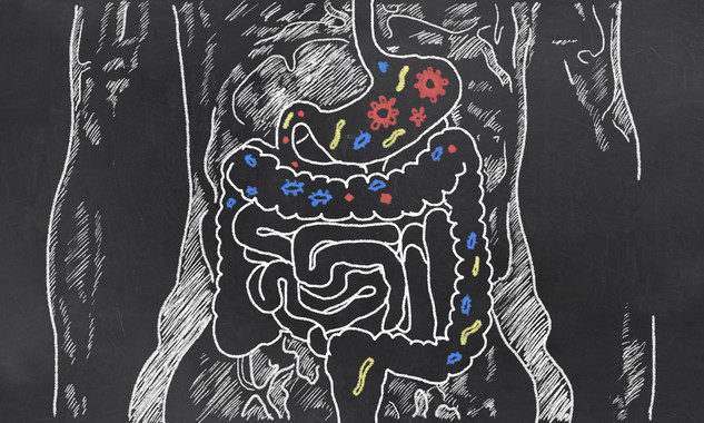 microbiota