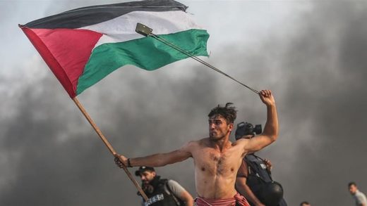 manifestante palestino Gaza demonstrator Palestinian flag bandera