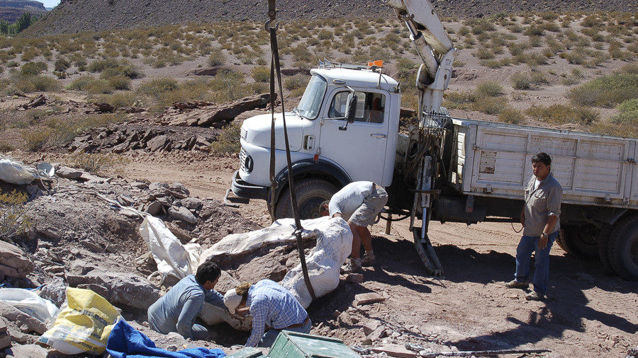Dinosaurio,Nuevas especies de dinosaurios gigantes descubiertas en Argentina