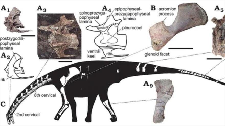 dinosaurio