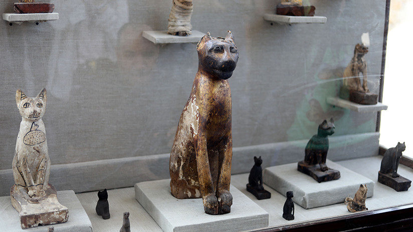 sarcofago Egipto