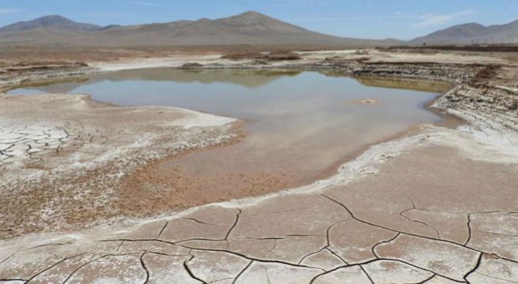 Las primeras lluvias en 500 años devastan a los microbios del desierto de Atacama,desierto Atacama