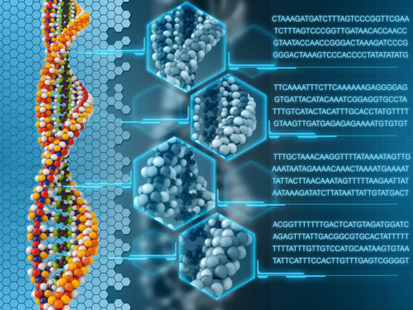 human genome project