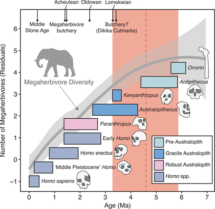 Gráfico extinción africana mamíferos