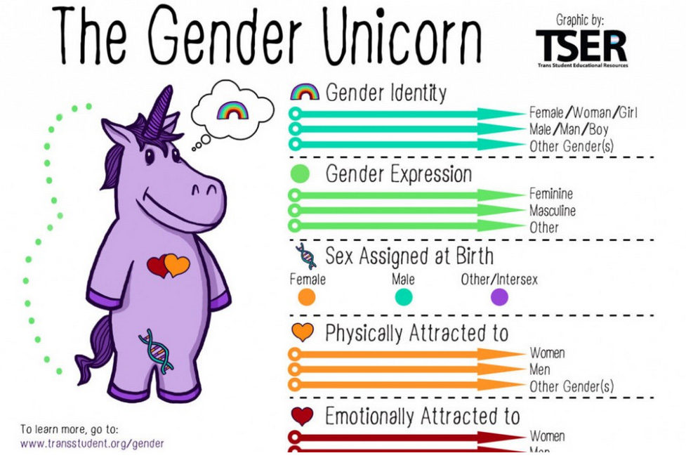 Gender unicorn