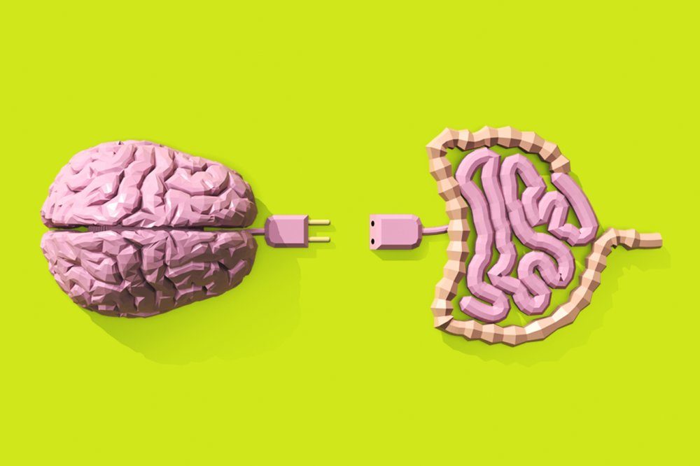 conexión intestino y cerebro