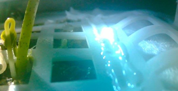 Clic para aumentar plants moon Chang'e 4