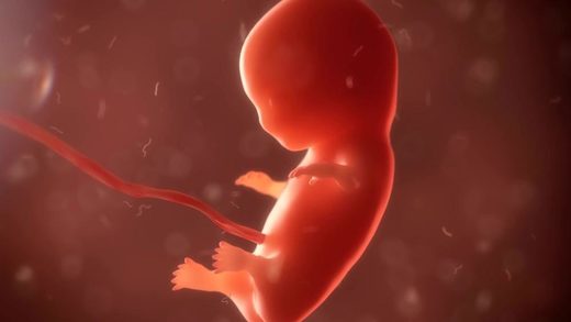 Nueva York permite el aborto hasta el día del parto