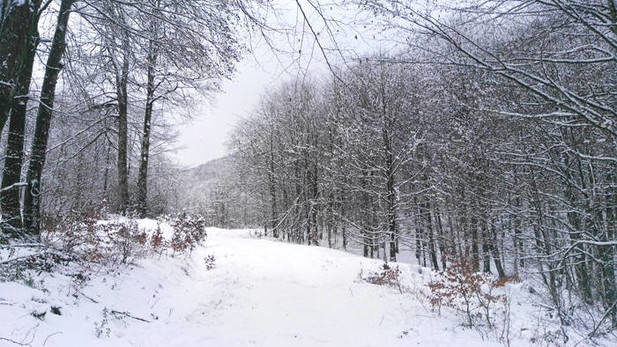 Nieve acumulada en Kintoa-Quinto Real, en la zona del cordal de la divisoria entre Artesiaga y Urkiaga.