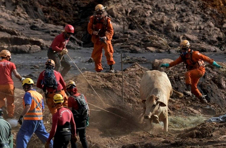 Ya son 121 los muertos por el desastre minero en Brasil