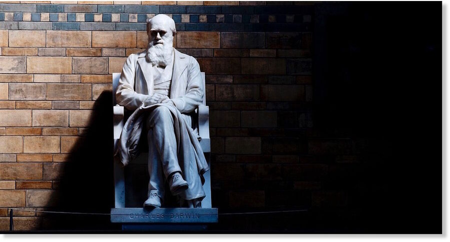 Clic para aumentar darwin statue
