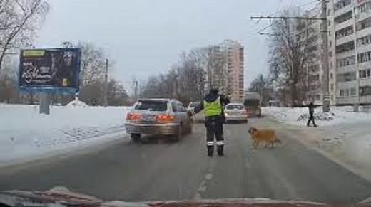 Policía de tráfico ruso adorado por las redes sociales mientras ayuda a un perro cojeando a cruzar la calle, crossing street