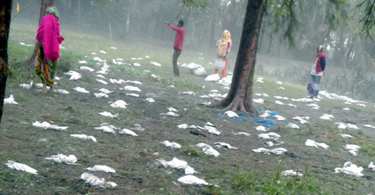 Birds have died in the forest of Narail