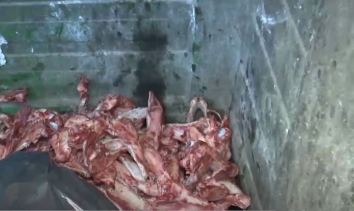 Argentina, Rosario,vecinos encontraron 30 perros faenados dentro de un contenedor