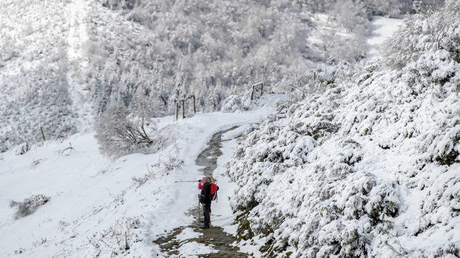 Nieve en los montes gallegos, cerca de O Cebreiro, Lugo.