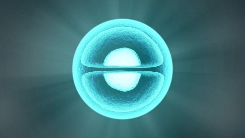 cell nucleus