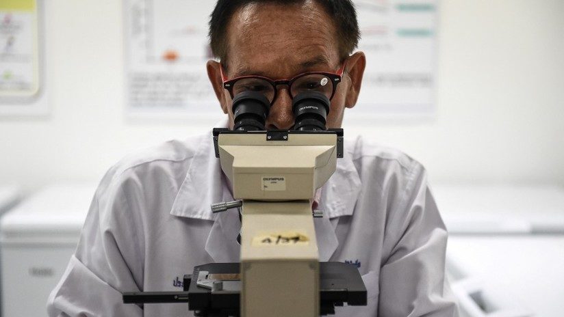 microscopio