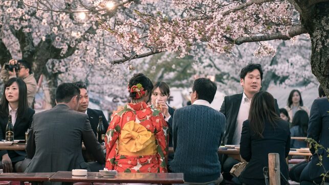 Hanami Japón