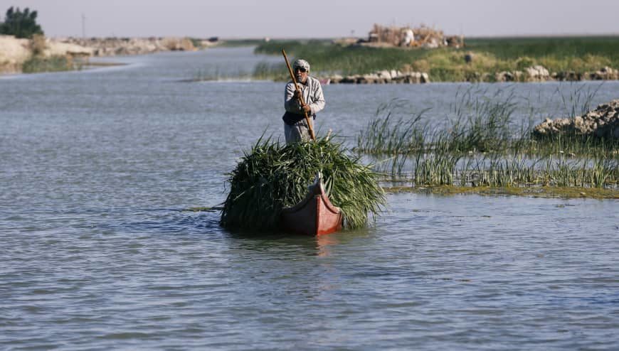 Unexpected rainfall revives Iraq's historic marshlands