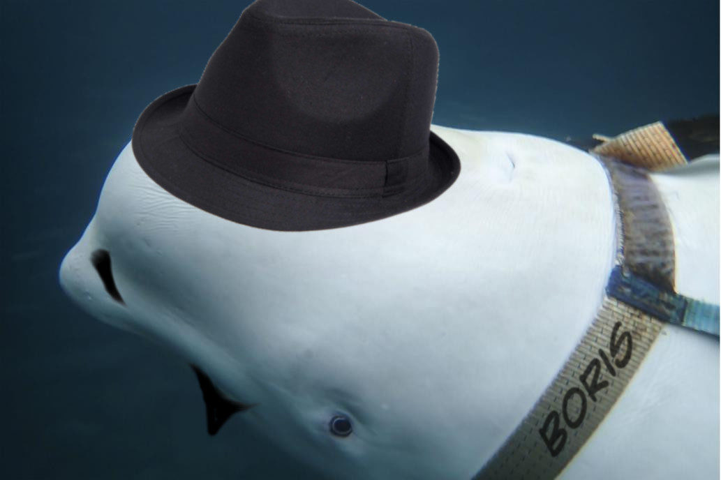 wale russian spy