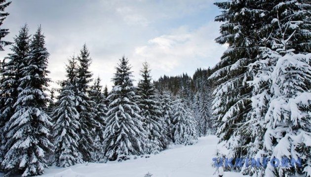 Snow falls in Ukraine’s Carpathian mountains