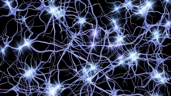 cerebro