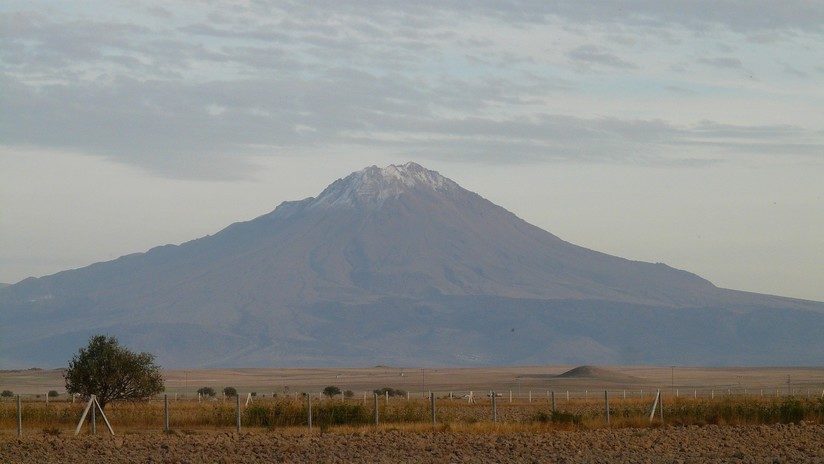 Cakallar