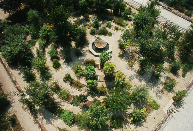 El Jardín Botánico de Padua en Italia fue fundado en 1545 por Francisco Bonafede, profesor de Botánica en la Facultad de Medicina de la Universidad de Padua.