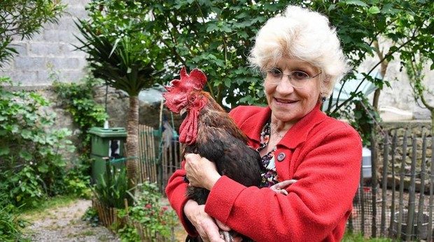 juicio a gallo