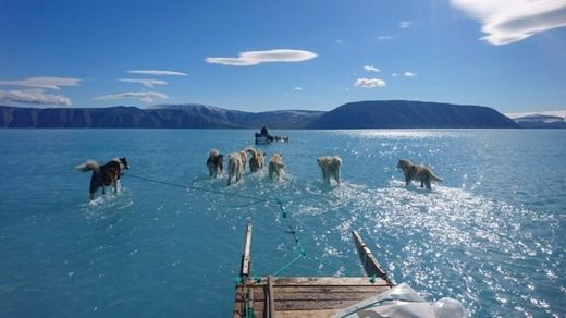 Clic para aumentar Climate scientist Steffen Olsen took this picture while travelling across melted sea ice in north-west Greenland