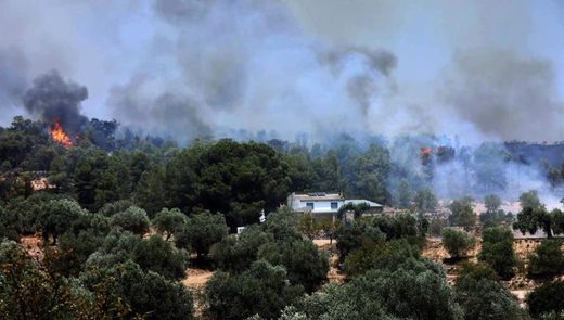 Incendio forestal en Tarragona